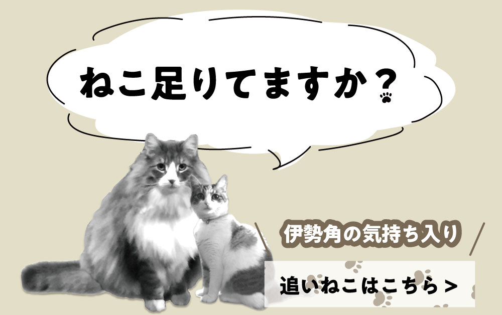 トップ画像