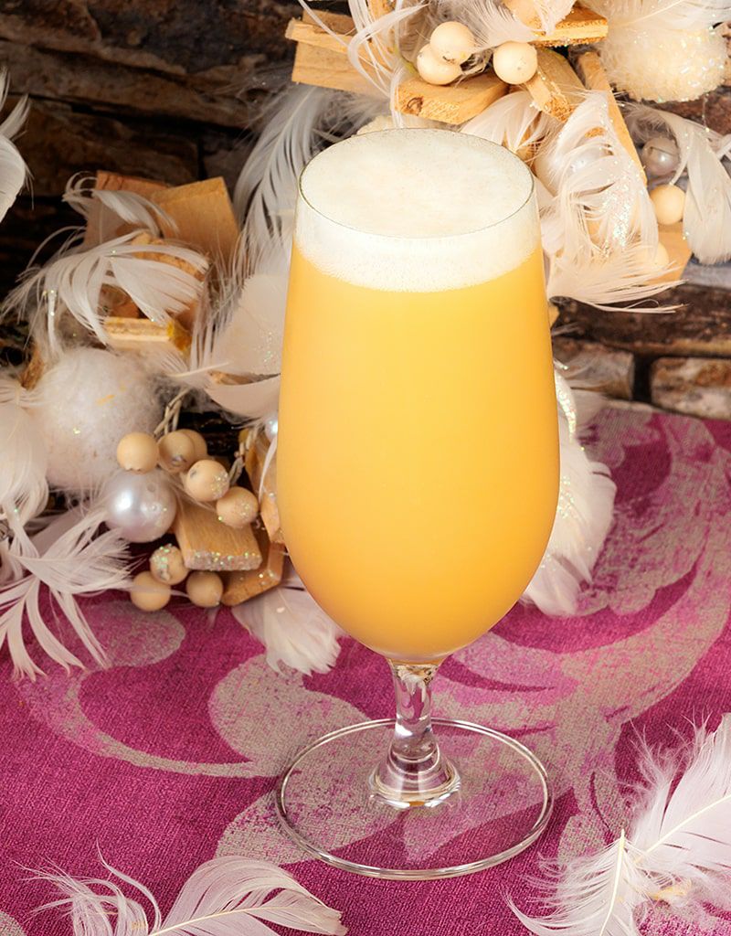 限定】二羽の鳥（瓶）1本 | クラフトビール・地ビールの通販